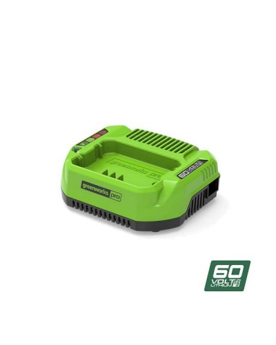 Зарядное устройство GREENWORKS (Гринворкс) 60V G60UC (2932007)