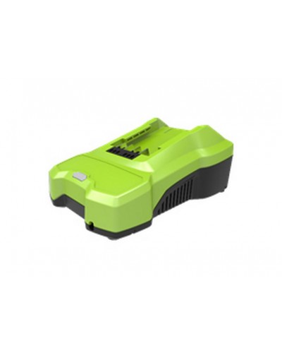 Зарядное устройство GREENWORKS (Гринворкс) G24C (2932407)