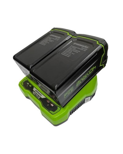 Зарядное устройство на 2 слота GREENWORKS (Гринворкс) G40UC2 (2938907)