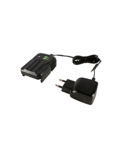 Зарядное устройство GREENWORKS (Гринворкс) G24C 0,5 А (2904307)