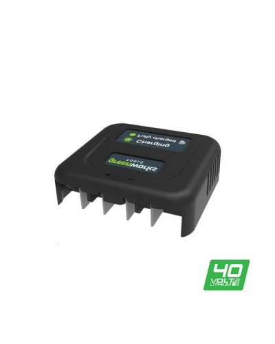 Зарядное устройство слайдер GREENWORKS (Гринворкс) (2904107)