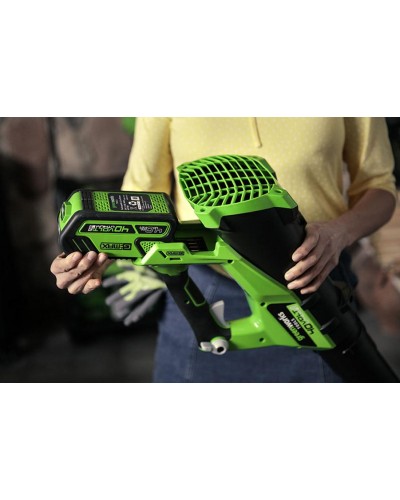 Аккумуляторный воздуходув GREENWORKS (Гринворкс) G40ABK5 (2400807UF) с АКБ 5 Ah и ЗУ