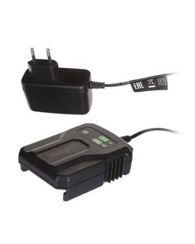Зарядное устройство GREENWORKS (Гринворкс) G40UCM2M (2946507)