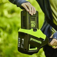 Аккумулятор GREENWORKS (Гринворкс) 60V G60B5 (2944907) 5Ah