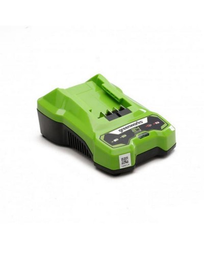 Быстрое зарядное устройство GREENWORKS (Гринворкс) G24C4 (2946407)